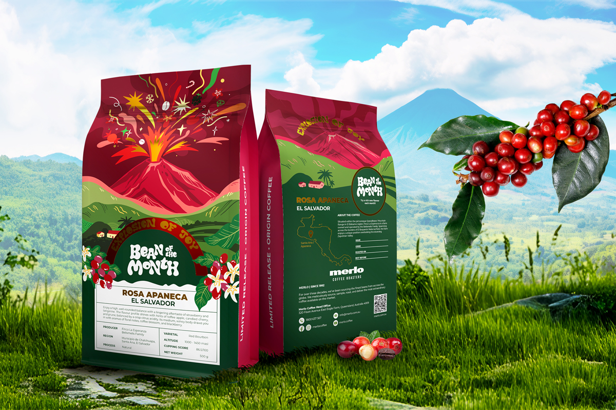 Thirsty Fox Picks: 5 Coffee Packaging Design Trends to Watch in 2025