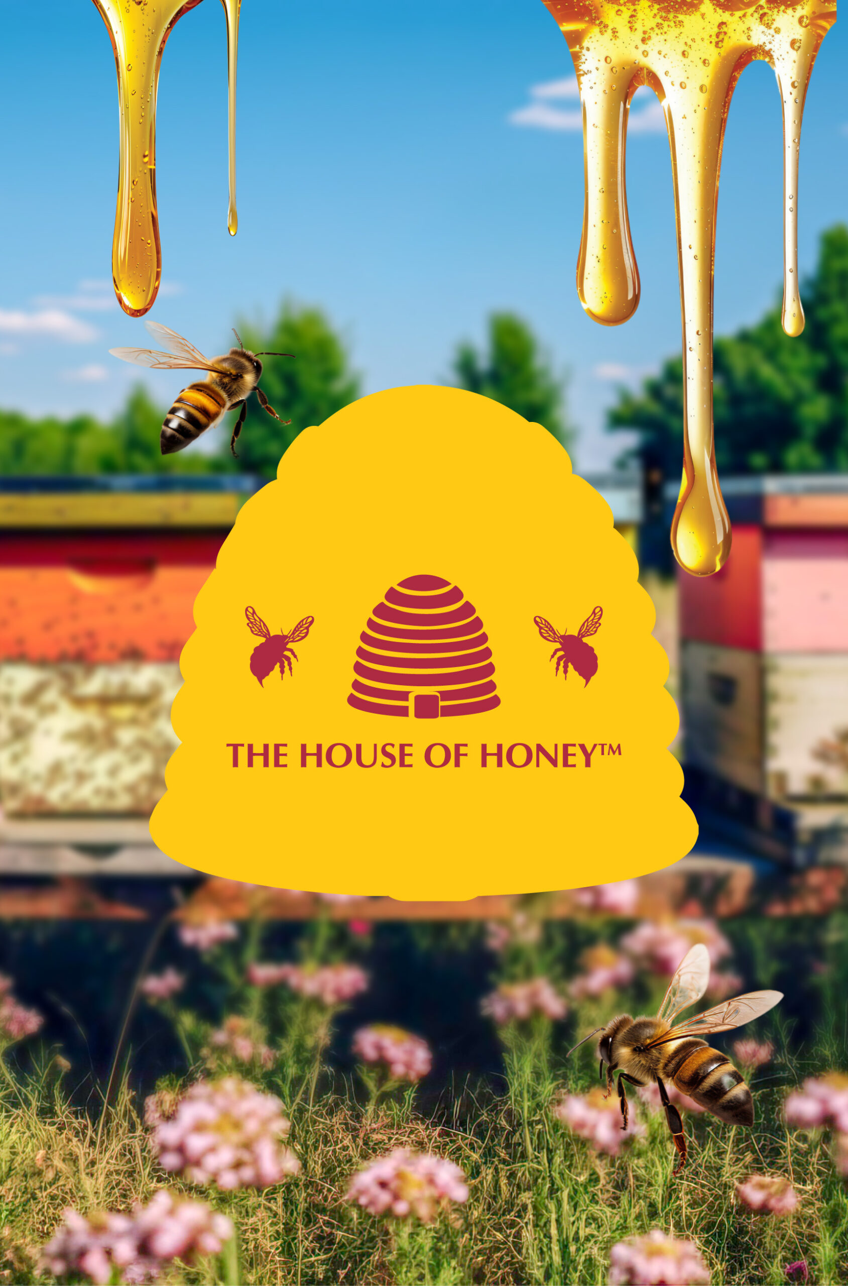 The House Of Honey