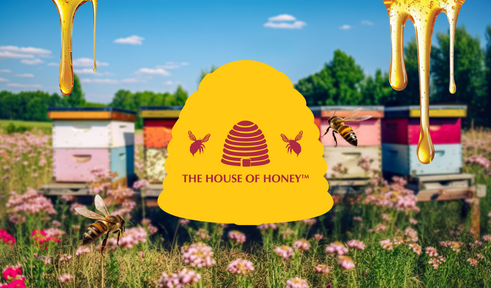 Fresh packaging for The House of Honey, designed by Thirsty Fox as part of a brand rebrand.