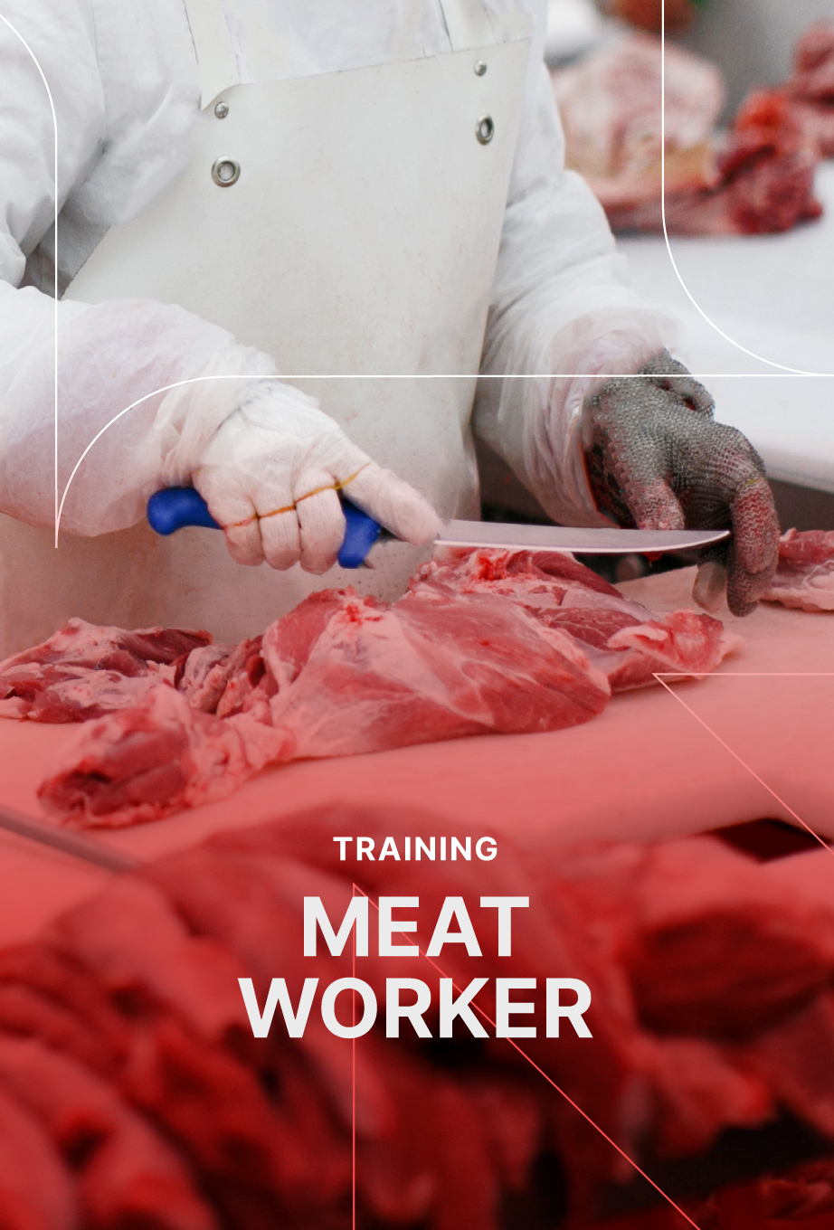 San Ha Consulting & Training